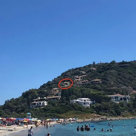 Camelia Hébergement de vacances